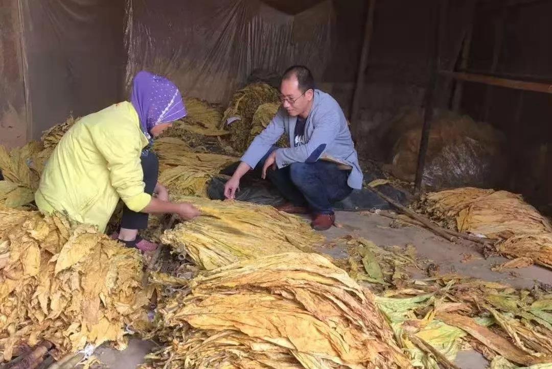 扶贫9.jpg 扶贫9.jpg