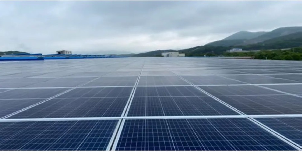 8-22-10.jpg 8-22-10.jpg