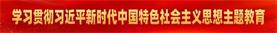学习贯彻习近平新时代中国特色社会主义思想主题教育