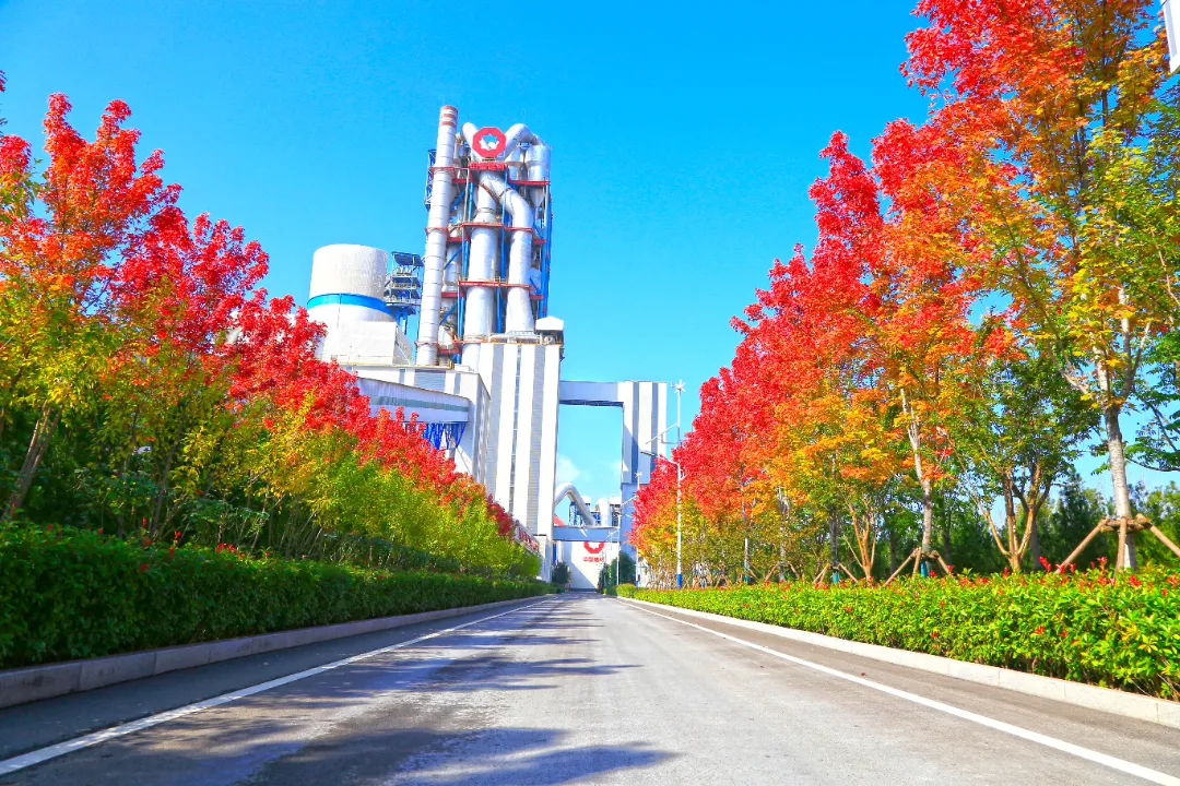 640-1.webp 640-1.webp